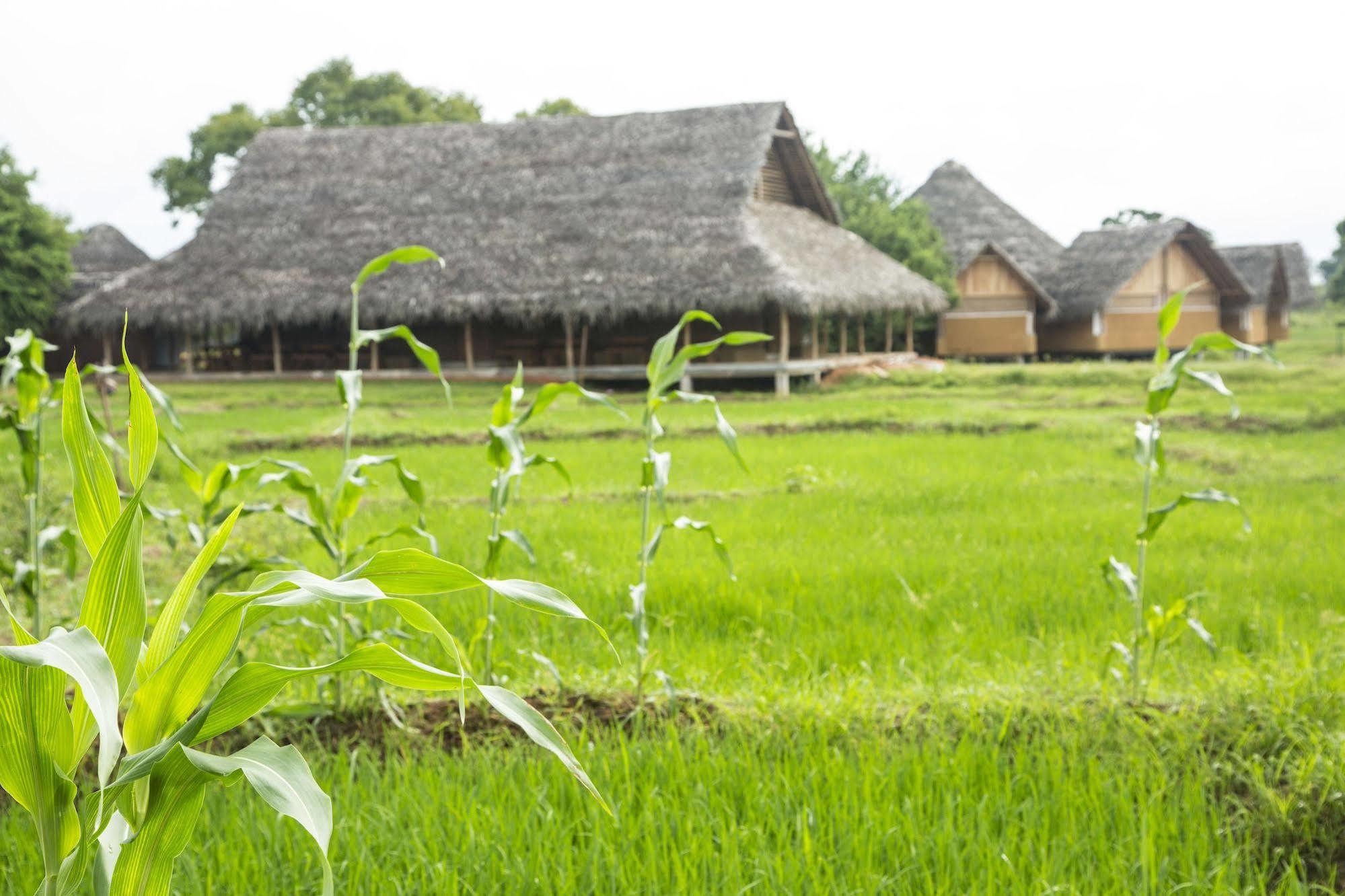 Aliya Resort And Spa - Thema Collection Sigiriya Exterior photo